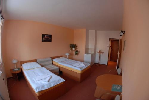 Hotel Wolf Praga